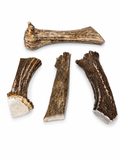 Moose Base Cuts