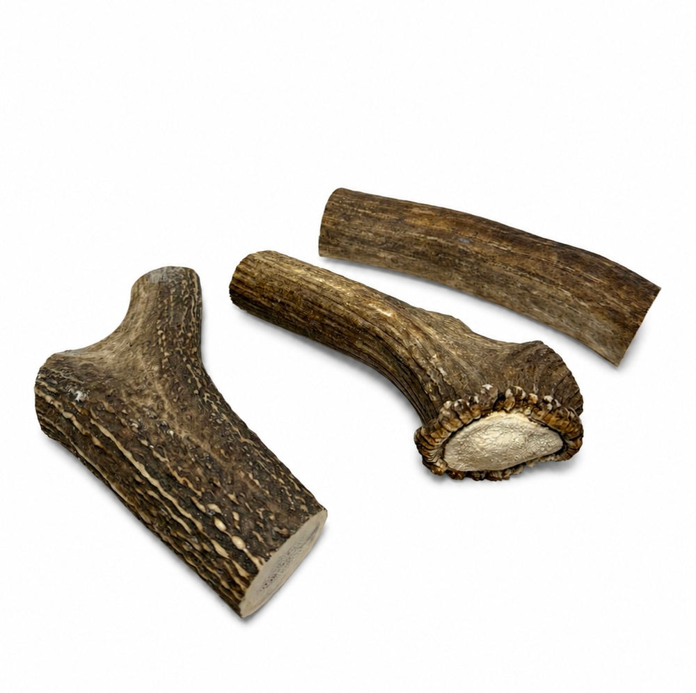 Elk Jumbo – Whole