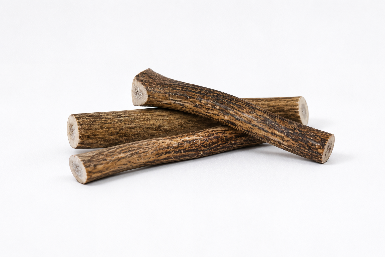 Medium Elk – Whole