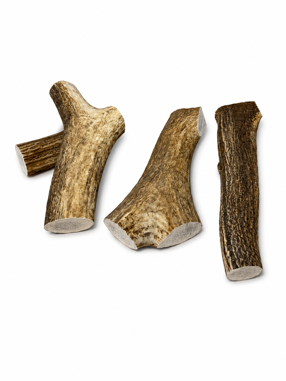 XL Elk - Whole