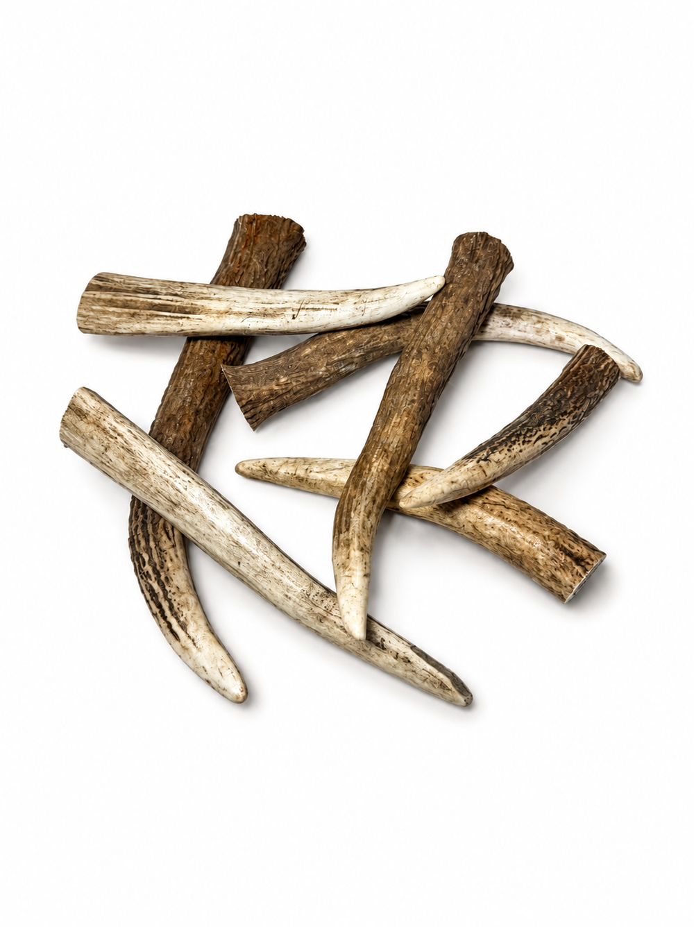 Elk Tines